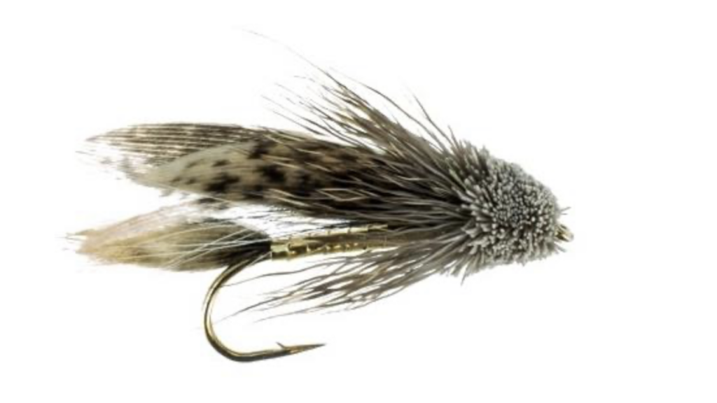 Mosca Dei Capelli Di Cervo - Italia - Foto 11