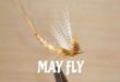 May Fly extended body