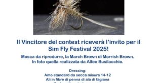 Sim Fly Festival Fly Tying Contest