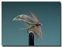 Sedge diurne (imago)