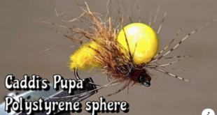 Gabriele Carera SIM Caddis Pupa