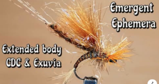 Gabriele Carera SIM EMERGENT EPHEMERA EXTENDED BODY CDC & EXUVIA