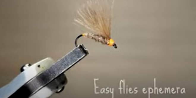 Gabriele-Carera-SIM-Easy-Flyes-Ephemera
