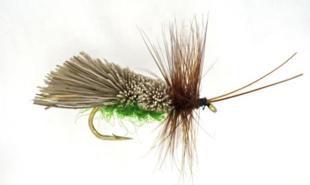 Goddard caddis (foto dal web)