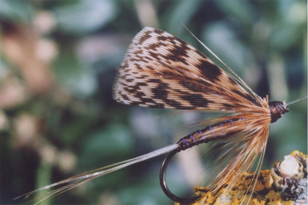 Turkey Brown