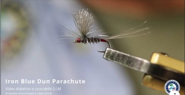 SIM-Robeto Brenda-Iron Blue Dun Parachute