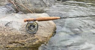 SIM report e foto a pesca col presidente 2024