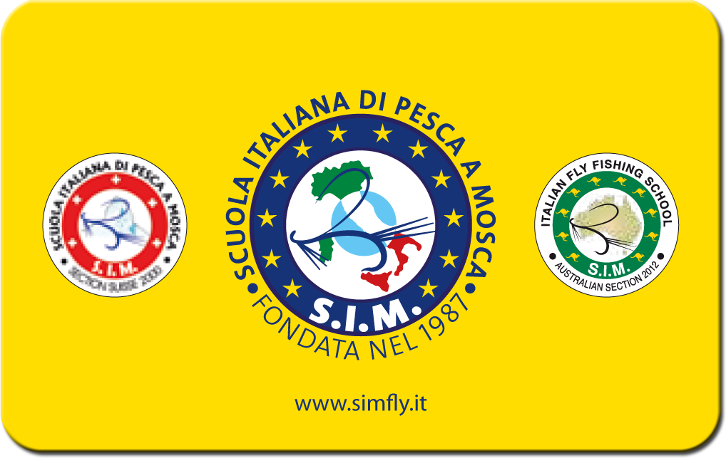 SIM card tessera 2015
