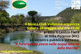 Volantino24ok