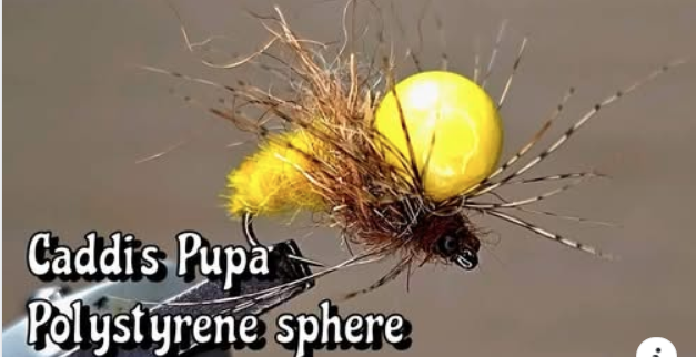 Gabriele Carera SIM Caddis Pupa