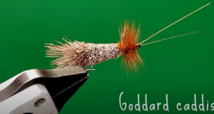 Goddard Caddis Sim scuola italiana pesca a mosca