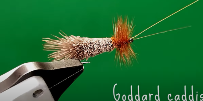 Goddard Caddis Sim scuola italiana pesca a mosca