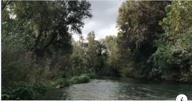 Laboratorio di entomologia - Roberto Brenda - La vita del fiume