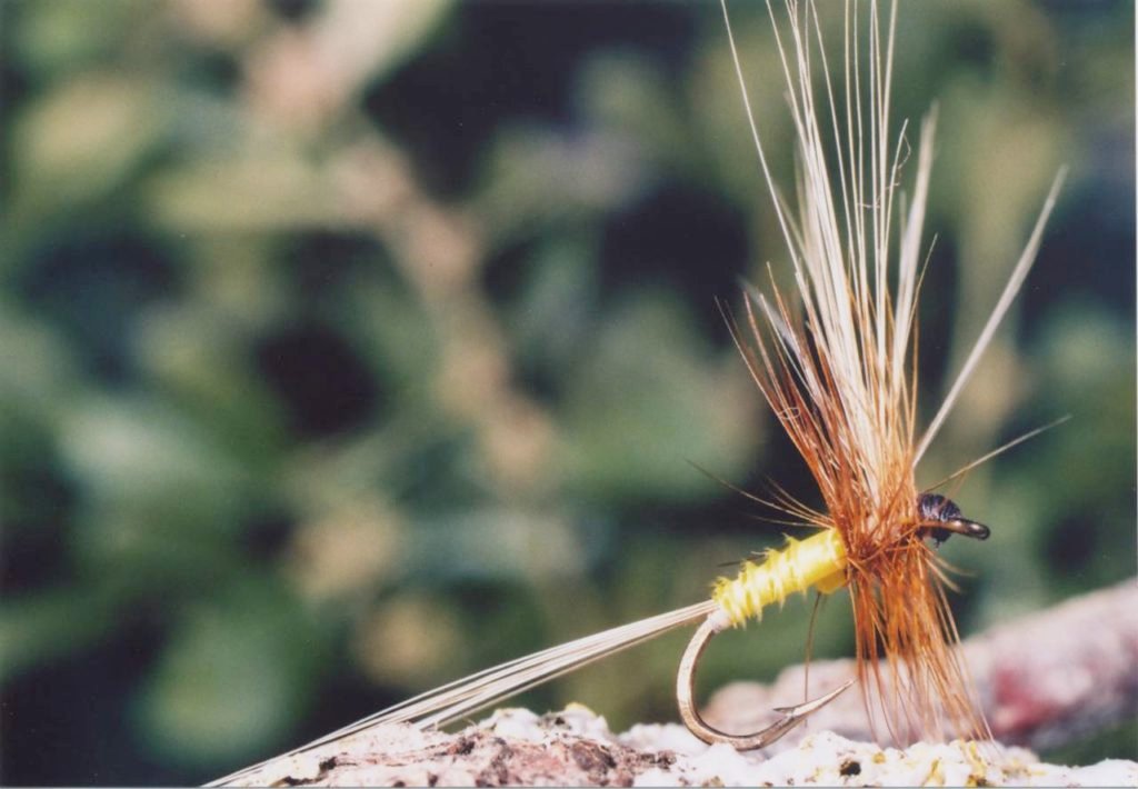 N 12 BAETIS BIOCULATUS SERIE GALLICA