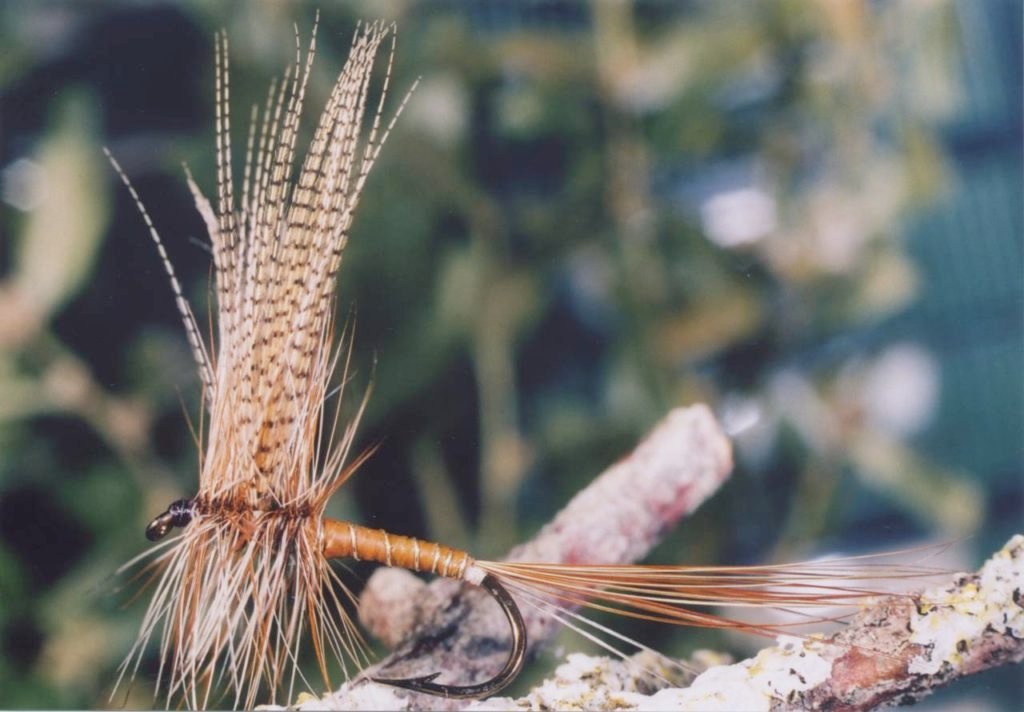 Ephemera Vulgata De Boisset