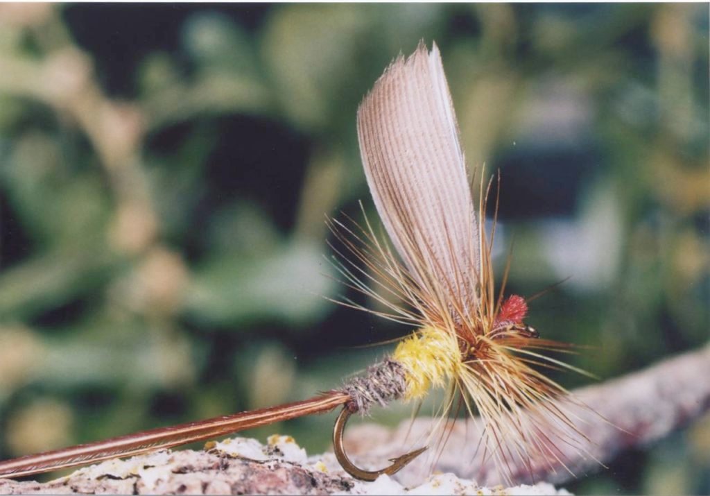 N° 35 BBrown and Yellow Spinner di L. West eseguita da Alfeo Busilacchio