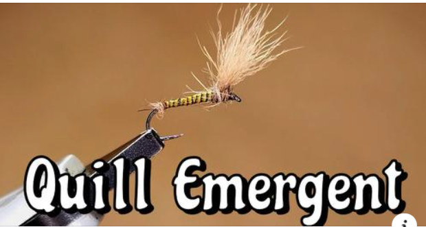 Quill Emerger