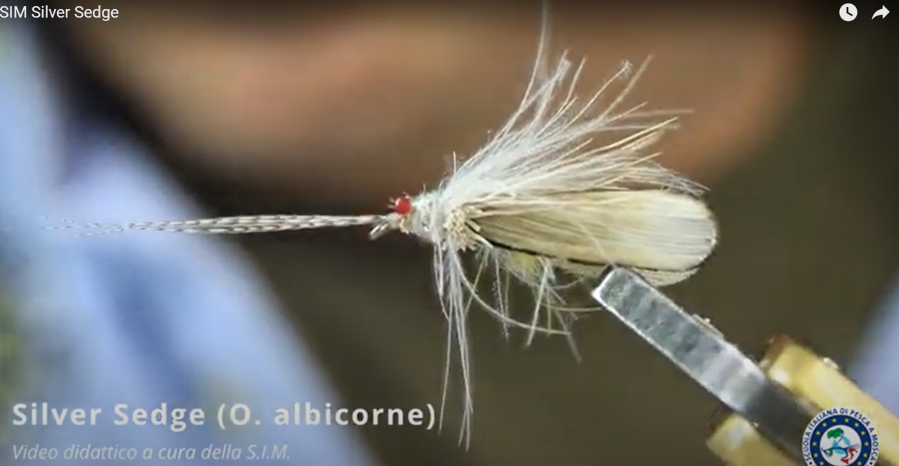 SOFT SEDGE Gold Brown – Pesca A Mosca, Cooler, Caccia, Nautica E Prodotti Yeti - Foto 2