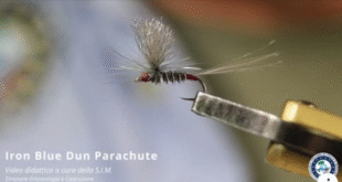 SIM-Robeto Brenda-Iron Blue Dun Parachute