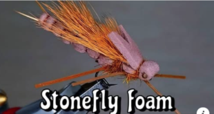 Stonefly foam - Gabriele Carera - Laboratorio di costruzione SIM