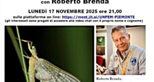 Roberto brenda direzione entomologia Scuola Italiana Pesca a Mosca