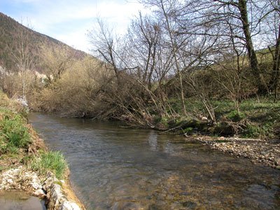 Torrente Birse