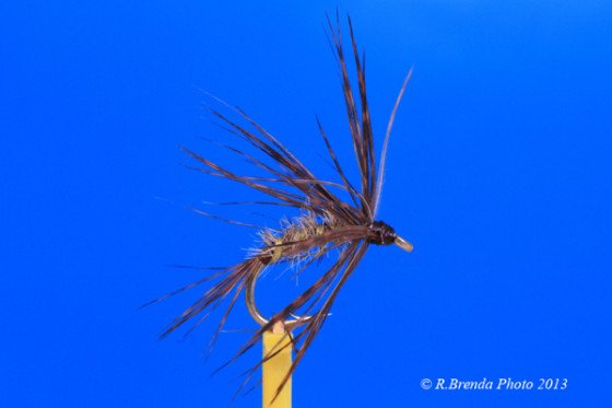 March Brown Spider